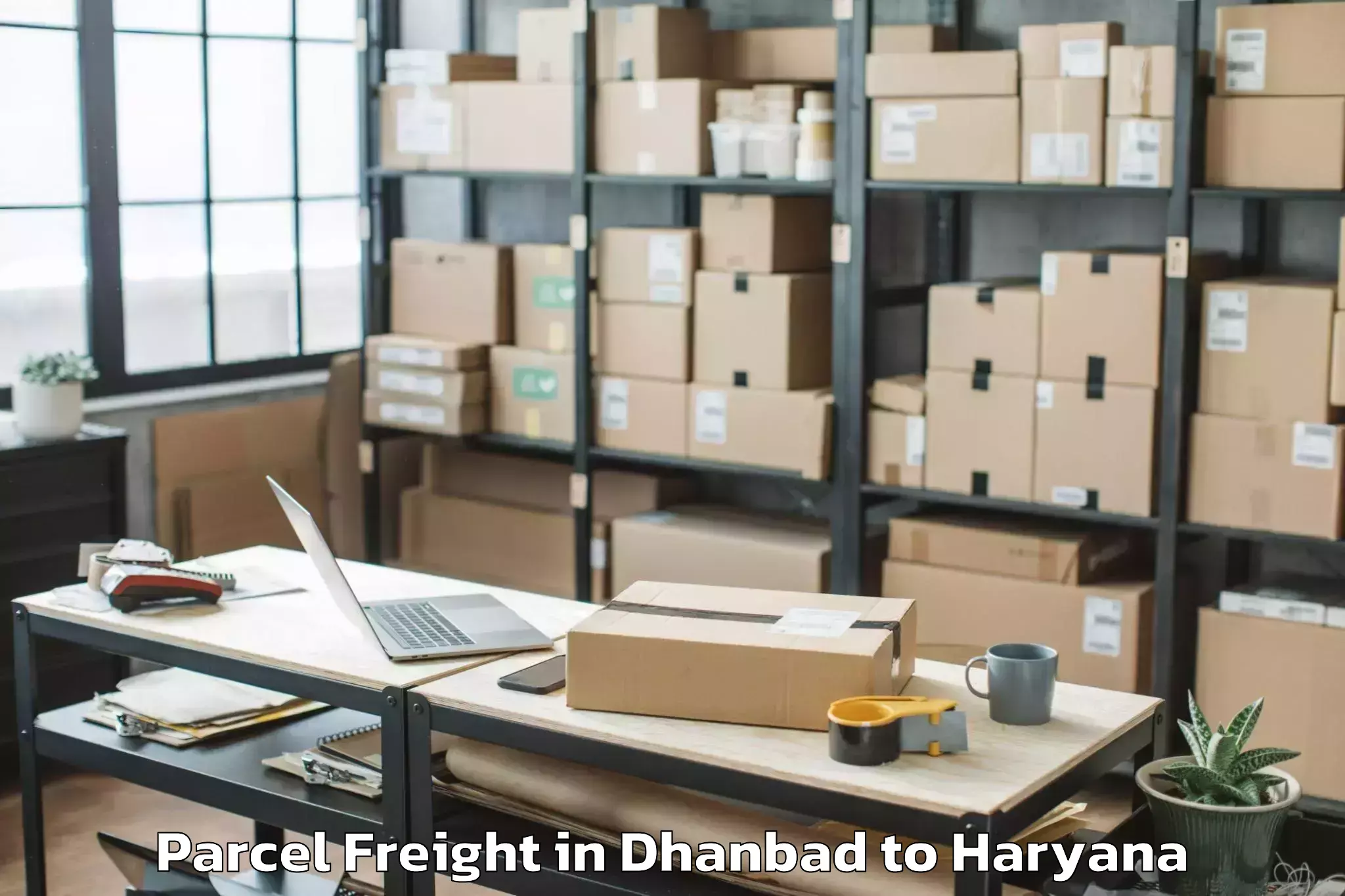 Book Your Dhanbad to Tosham Parcel Freight Today